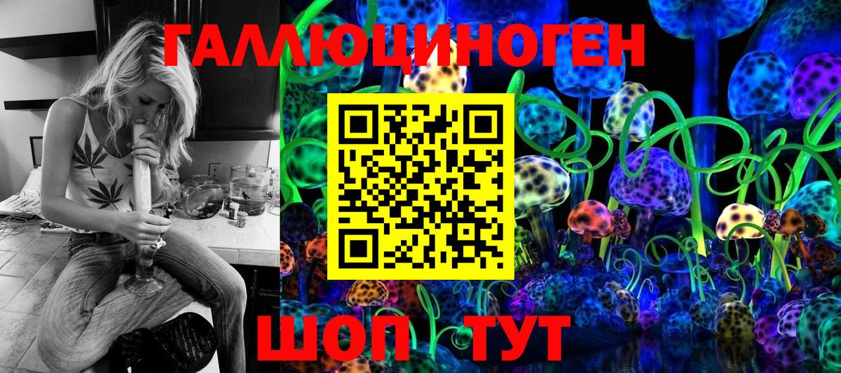 Коммунар  Псилоцибиновые грибы Psilocybine cubensis  Вход с VPN 
